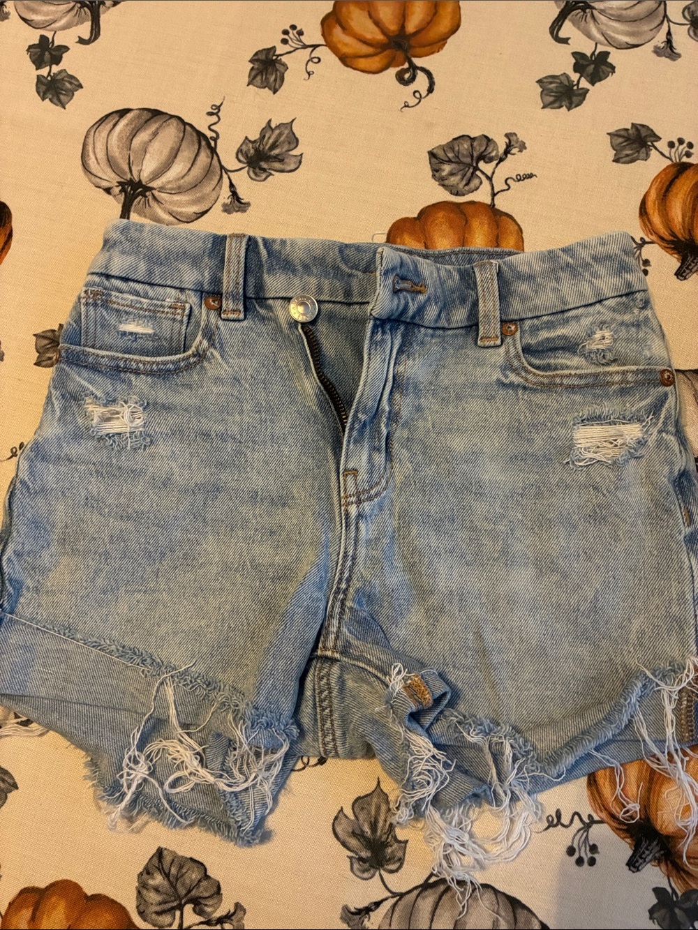 American Eagle Outfitters Light Blue Distressed Denim Shorts